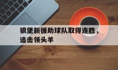 狼堡新援助球队取得连胜，追击领头羊的简单介绍