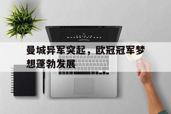 曼城异军突起，欧冠冠军梦想蓬勃发展的简单介绍